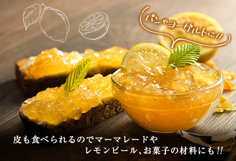 訳あり 数量限定 マイヤーレモン 計10kg以上 フルーツ 果物 柑橘 レモン 檸檬 オレンジ 人気 おすすめ おすそ分け お土産 プレゼント お取り寄せ グルメ 国産 食品 デザート スイーツ ブランド 希少 特産品 産地直送 宮崎県 日南市 送料無料_BB130-23 計10kg以上(40～90玉)