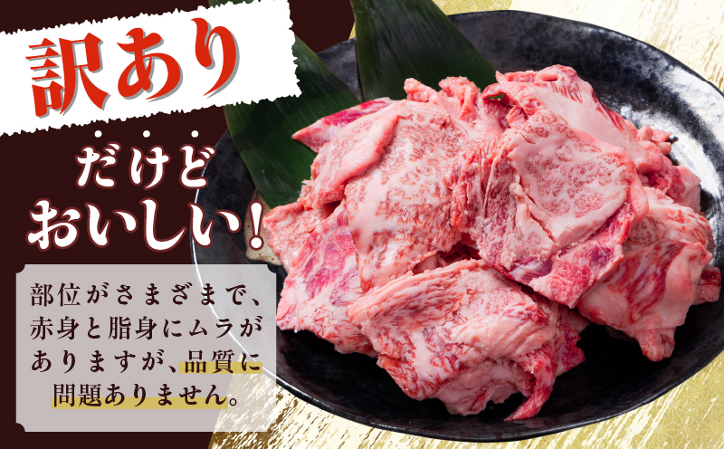 数量限定 訳あり 宮崎県産 黒毛和牛 焼肉用 切り落とし 計500g 肉 牛肉 和牛 ワケアリ 不揃い 国産 冷凍 BBQ バーベキュー キャンプ おすすめ おかず おつまみ お弁当 炒め物 ビーフシチュー カレー お祝い 記念日 宮崎県 日南市 送料無料_BB164-25 計500g　寄附額12,000円