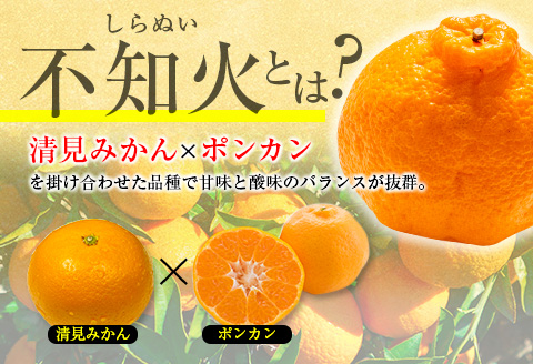 たっぷり果肉とジューシーな果汁!! 不知火 計3kg以上 化粧箱入り 期間限定 数量限定 先行予約 2026 令和8年発送 果物 くだもの 柑橘 みかん しらぬい デザート 国産 食品 おすすめ ギフト 贈り物 贈答 おすそ分け お祝い お返し 宮崎県 日南市 送料無料_BAV10-25