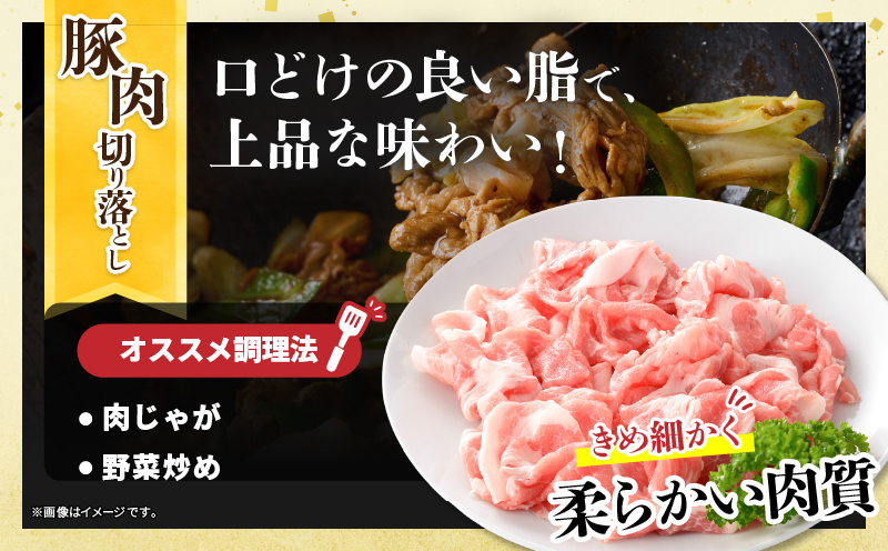 宮崎県産 豚肉切り落とし＆若鶏もも切身セット 合計3kg 肉 豚 鶏肉 小分け 真空パック 国産 食品 万能食材 豚丼 焼肉 から揚げ とり天 炒め物 おかず お弁当 おつまみ 詰め合わせ 食べ比べ おすすめ 冷凍 宮崎県 日南市 送料無料_BD109-25 合計3kg