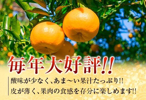 年内発送 訳あり 宮浦 ポンカン 計10kg以上 先行予約 期間限定 数量限定 フルーツ 果物 くだもの 柑橘 みかん 蜜柑 わけあり 国産 食品 おやつ デザート みかんジュース おすすめ ご家庭用 不揃い おすそ分け 産地直送 宮崎県 日南市 送料無料_CA54-24 計10kg以上