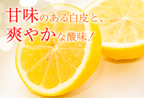 先行予約 訳あり 宮浦産 日向夏 計10kg以上 期間限定 数量限定 フルーツ 果物 くだもの 柑橘 みかん 令和8年発送 国産 産地直送 新鮮 食品 ジュース デザート フルーツサンド おやつ ご褒美 おすそ分け ご家庭用 宮崎県 日南市 送料無料_CA85-25 計10kg以上