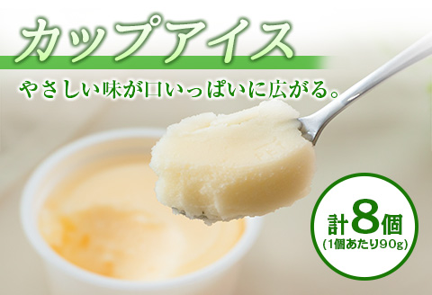 手作り アイス カップ ＆ モナカ セット 合計20個 スイーツ お菓子 食品 加工品 最中 なかつや 国産 おやつ デザート ご褒美 昔ながら 手作り 子供 乳製品 氷菓 詰め合わせ 食べ比べ お取り寄せ グルメ おすそ分け おすすめ 懐かしい 宮崎県 日南市 送料無料 日南スピード配送_CA34-23