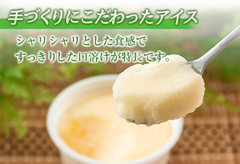 手作り アイス カップ セット 計16個 スイーツ デザート おやつ 国産 食品 加工品 お菓子 氷菓 なかつや 昔ながら 懐かしの味 ご褒美 お祝い 記念日 ギフト 贈り物 プレゼント お取り寄せ グルメ おすすめ おすそ分け 詰め合わせ 宮崎県 日南市 送料無料 日南スピード配送_CA35-23