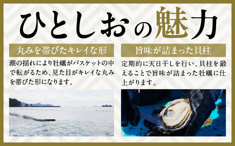 数量限定 宮崎県産 ブランド 牡蠣 ひとしおオイスター 計20個 魚介 魚貝 かき 生食用 殻付き 国産 おかず おつまみ 食品 海鮮 海産物 シーフード BBQ バーベキュー アウトドア グランピング 海の幸 養殖 絶品 贅沢 ご褒美 お取り寄せ グルメ 日南市 送料無料_CB81-23