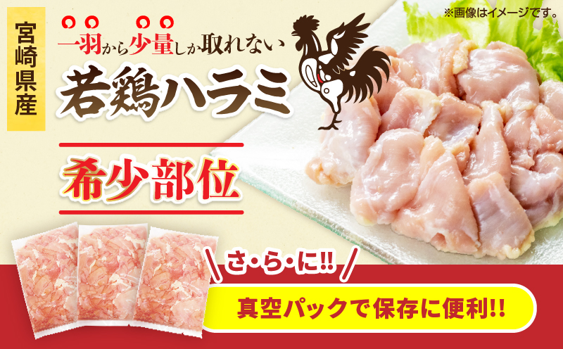 希少部位 宮崎県産 若鶏 ハラミ 計3kg 鶏肉 とり 鳥 国産 小分け 真空パック おかず お弁当 おつまみ 食品 チキン 簡単調理 鶏飯 焼き鳥 焼肉 炒め物 揚げ物 唐揚げ チキンカレー おすすめ 贈り物 ギフト おすそ分け 冷凍 宮崎県 日南市 送料無料_CB107-25