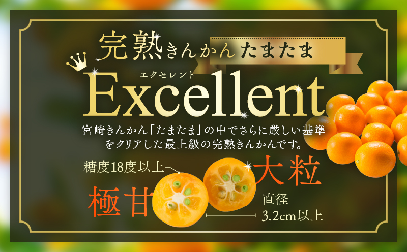 糖度18度以上!! 完熟きんかん たまたま エクセレント 計1kg 傷み補償分入り 期間限定 数量限定 フルーツ 果物 柑橘 金柑 国産 食品 A品 2L 最高級 ブランド 大粒 極甘 デザート おすすめ ギフト プレゼント 贈り物 贈答 先行予約 宮崎県 日南市 送料無料_CB115-25