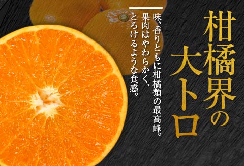 柑橘界の大トロ!! とろけるような食感!! せとか 計3kg以上 化粧箱入り 期間限定 数量限定 先行予約 2026 令和8年発送 果物 くだもの 柑橘 みかん おやつ デザート 国産 食品 おすすめ ギフト 贈り物 贈答 おすそ分け お祝い お返し 宮崎県 日南市 送料無料_D99-24