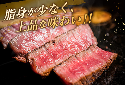 訳あり 数量限定 黒毛和牛 ヒレ ステーキ 計360g 牛肉 ビーフ 赤身肉 希少 国産 ミヤチク ご褒美 お祝 記念日 食品 焼肉 鉄板焼き BBQ バーベキュー グランピング おかず おつまみ おすすめ お取り寄せ グルメ フィレ ヘレ 宮崎県 日南市 送料無料_DA39-25