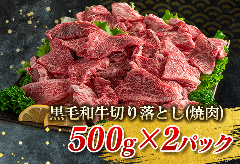 黒毛和牛 切り落とし 焼肉 粗挽き ウインナー セット 合計1kg以上 牛肉 ビーフ 豚肉 ポーク 国産 おかず お弁当 おつまみ BBQ キャンプ アウトドア グランピング 鉄板焼き ご褒美 お祝い 記念日 食品 お取り寄せ グルメ ミヤチク 宮崎県 日南市 送料無料_DB32-25