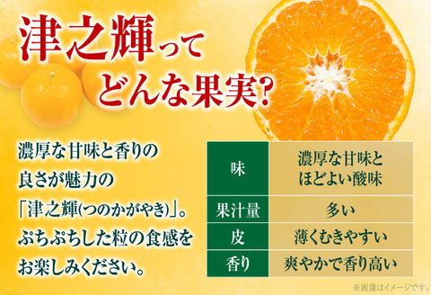 先行予約 津之輝 つのかがやき 6kg以上 (2kg×3箱) 希少 期間限定 数量限定 フルーツ 果物 くだもの 柑橘 みかん 令和8年発送 国産 食品 おすすめ デザート おやつ みかんジュース フルーツサンド ギフト 贈り物 贈答 おすそ分け 宮崎県 日南市 送料無料_D90-24 6kg以上 (2kg×3箱)