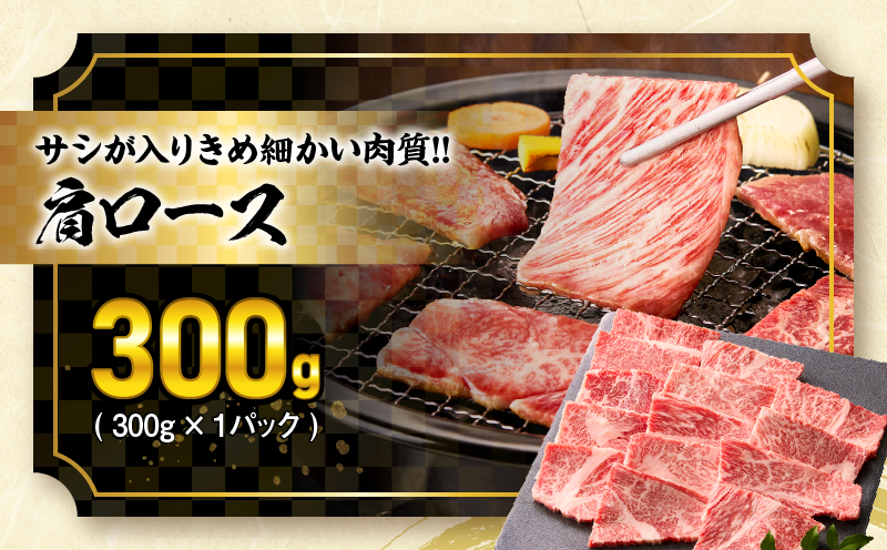 【令和8年4月配送】宮崎牛 赤身 霜降り 焼肉 3種 食べ比べ セット 合計900g 数量限定 肉 牛肉 黒毛和牛 国産 A4 A5 おすすめ 肩ロース モモ ウデ 食品 おかず 晩ご飯 お弁当 BBQ 焼き肉 贅沢 ご褒美 ギフト 贈り物 プレゼント 冷凍 選べる配送月 宮崎県 日南市 送料無料_CD64-24-04 令和8年4月配送