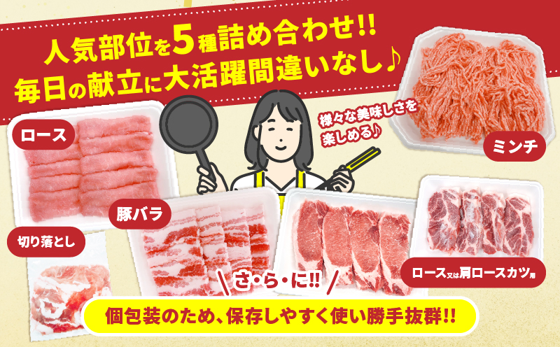 宮崎県産 豚肉 5種 セット (合計3kg) 国産 食品 豚バラ 切り落とし ロース スライス ミンチ 焼肉 BBQ しゃぶしゃぶ 生姜焼き とんかつ ソテー 豚丼 ハンバーグ 個包装 小分け おすすめ おかず お弁当 晩ご飯 手軽 便利 ギフト 贈り物 冷凍 日南市 送料無料_CC69-25