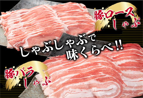豚肉 鶏肉 食べ比べ セット 合計5kg 国産 食品 しゃぶしゃぶ 焼肉 BBQ とんかつ 切り落とし 豚ロース 豚バラ 鶏モモ からあげ 生姜焼き 小分け バラエティ 人気 おすすめ おすそ分け おかず お弁当 晩ご飯 宮崎県 日南市 送料無料_DC32-25