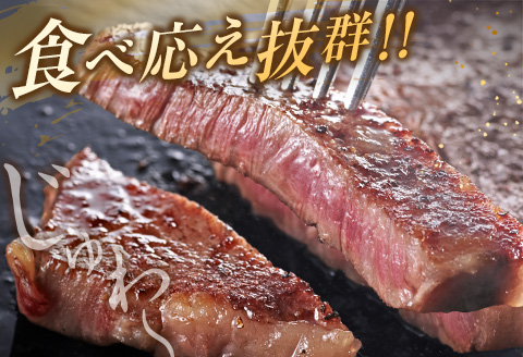 数量限定 黒毛和牛 ロース ステーキ 計800g 牛肉 国産 ビーフ おすすめ グルメ 食品 贅沢 ディナー おかず 晩ご飯 食べ応え 赤身 焼肉 鉄板焼き BBQ バーベキュー キャンプ グランピング お取り寄せ ミヤチク 宮崎県 日南市 送料無料_DC26-25
