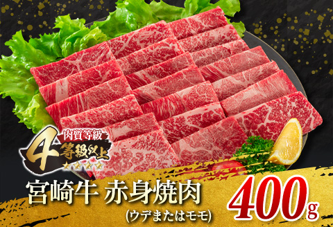 宮崎牛 赤身 焼肉 黒毛和牛 小間切れ セット 合計800g 牛肉 ビーフ 国産 うで もも ブランド牛 人気 おすすめ 万能食材 食品 お取り寄せ グルメ 詰め合わせ 贅沢 ご褒美 お祝い 記念日 おかず 弁当 おつまみ BBQ 鉄板焼き おすそ分け 宮崎県 日南市 送料無料_DA20-23