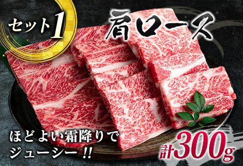 数量限定 宮崎牛 3種 お試し 焼肉 セット 合計900g 牛肉 ビーフ 肩ロース バラ モモ 黒毛和牛 ミヤチク 国産 ブランド牛 食品 高級 贅沢 上質 ご褒美 バーベキュー BBQ 鉄板焼き お祝 詰め合わせ お取り寄せ グルメ おかず おすすめ 宮崎県 日南市 送料無料_DC27-25