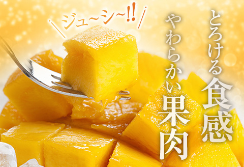 訳あり 宮崎県産 完熟マンゴー 約1.8kg 期間限定 数量限定 フルーツ 果物 くだもの 国産 食品 デザート おやつ フルーツサンド おすすめ ご褒美 贅沢 産地直送 傷 規格外 訳アリ おすそ分け 家庭用 冷蔵 宮崎県 日南市 送料無料_DA32-24 約1.8kg