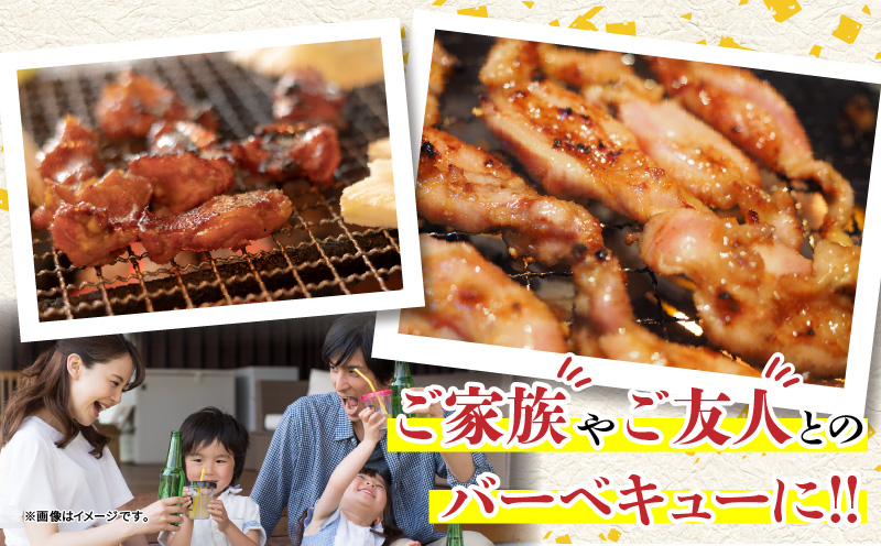 【ANA限定】若鶏 焼肉 セット 合計4.2kg 鶏肉 国産 チキン 鶏もも肉 切身 肝 砂肝 小肉 手羽中 チキンリブ 肩肉 人気 小分け 便利 おかず お弁当 おつまみ 食品 真空パック BBQ 唐揚げ お取り寄せ おすすめ ご褒美 記念日 お祝い おすそ分け 日南市 宮崎県 送料無料_D94-24