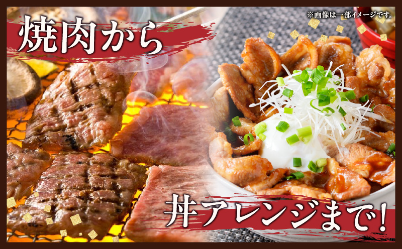 宮崎牛 宮崎県産豚 5種 食べ比べ 焼肉 セット 合計1.5kg 数量限定 肉 牛肉 豚肉 豚バラ 国産 食品 A4 A5 黒毛和牛 和牛 肩ロース モモ ウデ 豚肩ロース バーベキュー BBQ アウトドア おかず お弁当 ご褒美 お祝 記念日 贈り物 ギフト 贈答 冷凍 宮崎県 日南市 送料無料_DC25-24