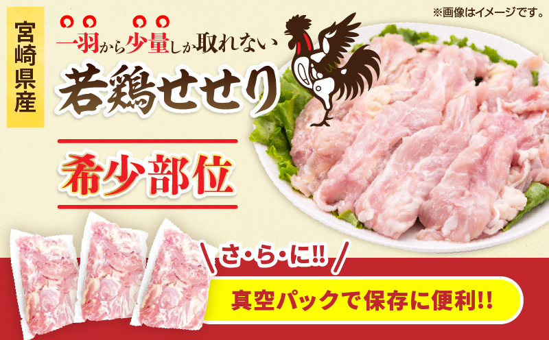 希少部位 宮崎県産 若鶏 せせり 計3kg 鶏肉 とり 鳥 小肉 国産 小分け 真空パック おかず お弁当 おつまみ 食品 チキン 簡単調理 鶏飯 焼き鳥 唐揚げ 炒め物 煮物 焼肉 串焼き チキンカレー おすすめ 贈り物 ギフト おすそ分け 冷凍 宮崎県 日南市 送料無料_DB35-25