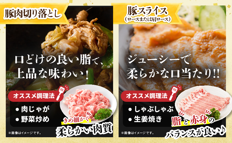 宮崎県産 豚肉＆鶏肉 よくばりセット 合計4.5kg 国産 食品 切り落とし スライス もも むね 切身 小分け 真空パック 万能 便利 簡単調理 食べ比べ おかず から揚げ チキン南蛮 カレー しゃぶしゃぶ すき焼き 生姜焼き 肉じゃが 棒棒鶏 おすすめ 冷凍 日南市 送料無料_DB43-25