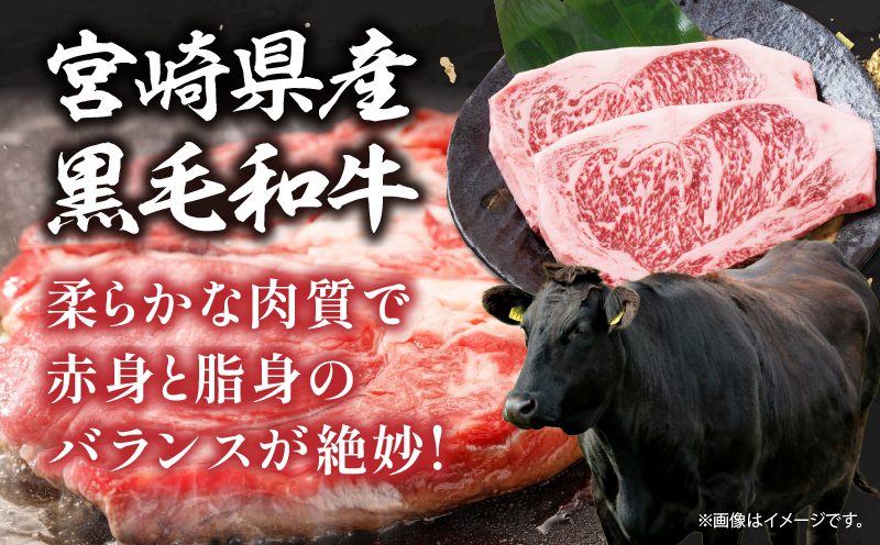 宮崎県産 黒毛和牛 サーロインステーキ 計500g(250g×2枚) 肉 牛肉 ビーフ 国産 ステーキ肉 おかず 食品 BBQ バーベキュー 焼肉 鉄板焼き おすすめ 人気 個包装 小分け 真空パック お祝い 記念日 ご褒美 贈り物 ギフト 贈答 プレゼント 宮崎県 日南市 送料無料_DC19-24