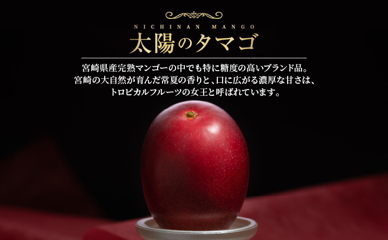 完熟マンゴー 太陽のタマゴ 2玉 ～ 3玉 期間限定 数量限定 マンゴー 宮崎 フルーツ 果物 くだもの 国産 食品 先行予約 2026 令和8年発送 濃厚 デザート おやつ おすすめ 冷蔵 ご褒美 おすそわけ 化粧箱入り ギフト プレゼント 贈り物 贈答 日南市 送料無料_FD13-25