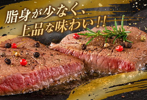 【令和8年2月配送】数量限定 超希少 宮崎牛 ヒレステーキ 計360g 牛肉 黒毛和牛 赤身 おすすめ おかず 人気 国産 高級 ステーキ肉 A4 A5 記念日 お祝い 贈り物 プレゼント ギフト 贈答 ご褒美 お取り寄せ ミヤチク ブランド牛 配送月が選べる 宮崎県 日南市 送料無料_ED8-25-02 2月配送