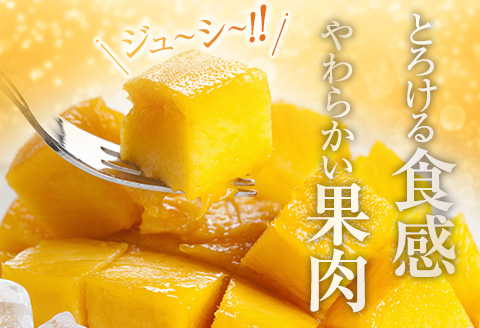 訳あり 宮崎県産 完熟マンゴー 約2.8kg 期間限定 数量限定 フルーツ 果物 くだもの 国産 食品 デザート おやつ フルーツサンド おすすめ ご褒美 贅沢 産地直送 傷 規格外 訳アリ おすそ分け 家庭用 冷蔵 宮崎県 日南市 送料無料_F77-24 約2.8kg