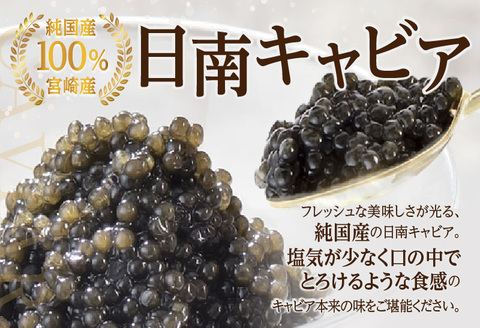 日南CAVIAR キャビア 計20g 魚卵 黒いダイヤ チョウザメ 魚介 魚貝 日南市産 国産 食品 人気 高級 上質 贅沢 高級 希少 三大珍味 水産物 おつまみ ご褒美 記念日 お祝い パーティー 贈り物 ギフト プレゼント お取り寄せ グルメ おすすめ 宮崎県 送料無料_F10-191