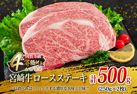 宮崎牛 ロース ステーキ 黒毛和牛 小間切れ セット 合計600g 牛肉 ビーフ 国産 万能食材 ブランド牛 おかず お弁当 おつまみ 食品 おすすめ 焼肉 バーベキュー 鉄板焼き 高級 ご褒美 お祝 記念日 お取り寄せ グルメ 冷凍 詰め合わせ 宮崎県 日南市 送料無料_F62-21