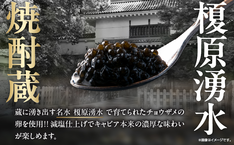 日南発 (ひなた) キャビア 計20g 魚卵 魚介 魚貝 国産 加工品 食品 新鮮 チョウザメ 世界三大珍味 希少 水産物 おつまみ おすすめ 高級 ご褒美 パーティー 前菜 オードブル お祝い 記念日 お礼 人気 ギフト 贈り物 贈答 黒いダイヤ 冷凍 宮崎県 送料無料_F80-25