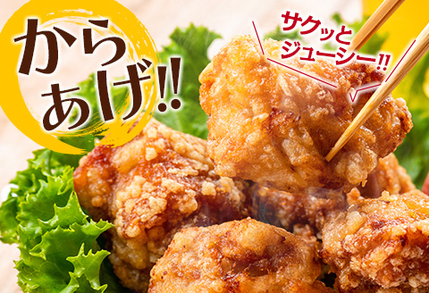 小分けで便利!! 真空パック 数量限定 鶏もも肉 定期便 3か月 お楽しみ 鶏肉 もも 切身 総重量9kg 国産 鳥 チキン カット 人気 小分け おかず お弁当 おつまみ 食品 から揚げ 焼肉 モモ肉 万能食材 大満足 おすそ分け お取り寄せ 宮崎県 日南市 送料無料_GD9-25