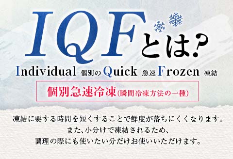 訳あり 数量限定 3か月 お楽しみ 定期便 若鶏 切り身 IQF セット もも肉 むね肉 総重量9.6kg 鶏肉 国産 大容量 万能食材 おかず 食品 チキン から揚げ 焼肉 お弁当 人気 おすすめ お取り寄せ グルメ 詰め合わせ 急速冷凍 定期便 宮崎県 日南市 送料無料_GA4-23