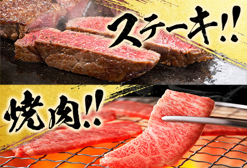 【令和8年1月から毎月配送】赤身肉の4か月定期便 数量限定 黒毛和牛 赤身 牛肉 お楽しみ 定期便 総重量1.7kg 肉 焼肉 ステーキ すき焼き しゃぶしゃぶ スライス ブロック 牛丼 赤身もも 国産 食品 おかず 高級 BBQ おすすめ 食べ比べ ミヤチク 配送月が選べる 宮崎県 日南市 送料無料_H51-25-L 令和8年1月から毎月配送