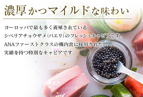 数量限定 宮崎キャビア1983 バエリ 20g 魚卵 魚介 魚貝 キャビア 国産 水産物 おつまみ 世界三大珍味 黒いダイヤ 贅沢 高級 上質 ご褒美 お祝い 記念日 お土産 おすすめ ギフト パーティー オードブル 宮崎県 日南市 送料無料_GB6-25