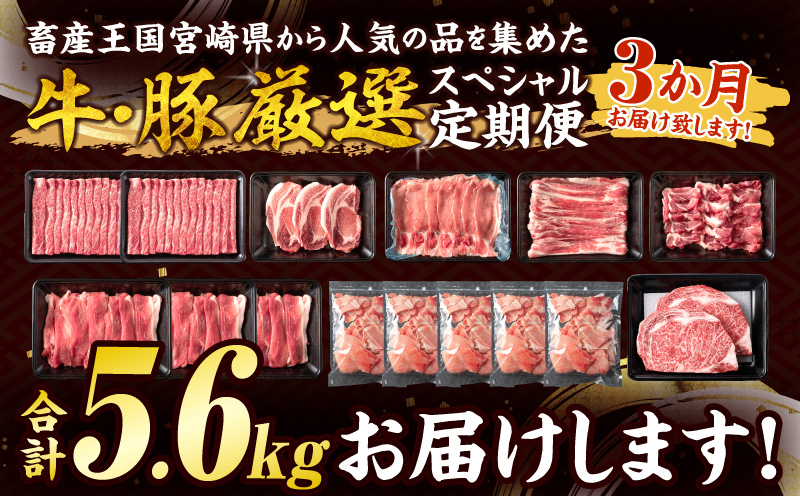 3か月 お楽しみ 牛 豚 厳選 スペシャル 定期便 総重量5.6kg 肉 牛肉 宮崎牛 肩ウデ ロースステーキ 豚肉 6種 盛り合わせ セット 豚ロース 豚バラ 小間切れ すき焼き しゃぶしゃぶ 黒毛和牛 A4 A5 和牛 国産 食品 牛丼 薄切り おすすめ ミヤチク 宮崎県産 日南市 送料無料_HE8-25