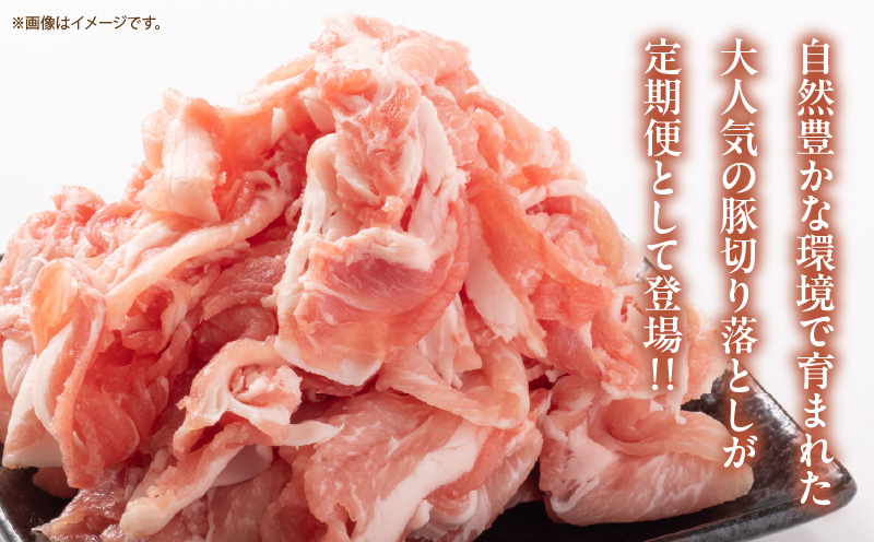 数量限定 6か月 お楽しみ 定期便 小分けで便利 豚 切り落とし 総重量18kg お肉 豚肉 国産 小分け 真空パック 個包装 万能食材 おすすめ おかず 食品 お弁当 豚丼 しゃぶしゃぶ お祝い 記念日 宮崎県 日南市 送料無料_KD1-24