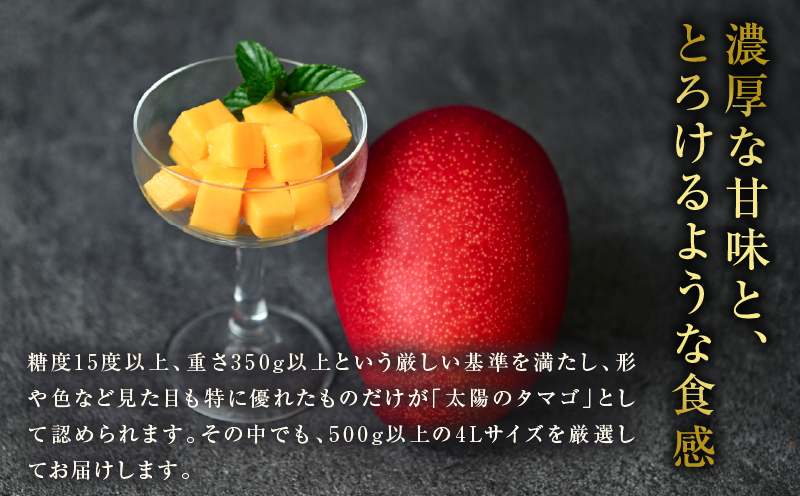 完熟マンゴー 太陽のタマゴ (4L×2玉) ＆ 宮崎キャビア1983 1個 期間限定 数量限定 宮崎 マンゴー フルーツ 果物 くだもの キャビア 魚介 魚卵 詰め合わせ 国産 食品 希少 デザート おすすめ 冷蔵 ご褒美 贅沢 選べる ギフト 贈り物 日南市 送料無料_LF1-25 太陽のタマゴ4L×2玉＆キャビア1個