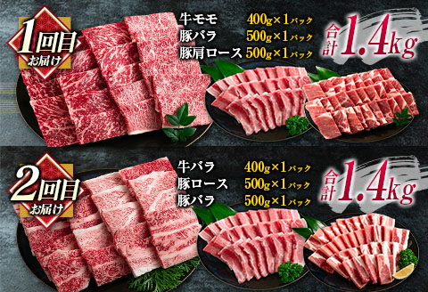 数量限定 6か月 お楽しみ 定期便 宮崎牛 豚肉 焼肉 セット 総重量8kg以上 牛肉 ビーフ ポーク 黒毛和牛 ミヤチク モモ バラ 肩ロース ミスジ ウデ 豚バラ BBQ 鉄板焼き 食べ比べ 国産 食品 おかず お弁当 冷凍 お取り寄せ グルメ 宮崎県 日南市 送料無料_N8-25