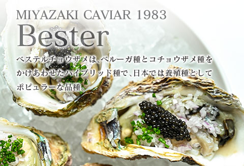 本格熟成キャビア「宮崎キャビア1983 ベステル」 計100g 魚卵 魚介 魚貝 国産 食品 加工品 新鮮 世界三大珍味 黒いダイヤ 希少 贅沢 海産物 おすすめ 高級 ご褒美 パーティー お祝い 記念日 人気 贈り物 贈答 特産品 冷凍 宮崎県 日南市 送料無料_MH1-23 100g×1個
