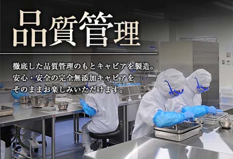 訳あり 数量限定 5つ星ホテル採用 宮崎県産 キャビア 詰め合わせ セット 合計200g 魚卵 魚介 魚貝 国産 熟成 新鮮 高級 希少 食品 三大珍味 黒いダイヤ おすすめ 水産物 おつまみ ご褒美 お祝い 記念日 パーティー 日南市 送料無料_XF1-25