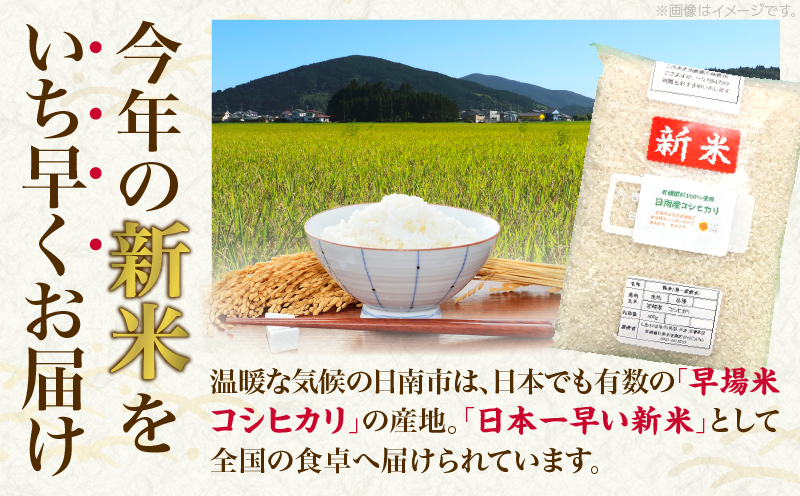 令和7年産 新米 コシヒカリ 計800g お米 ご飯 ライス 国産 数量限定 人気 食品 精米 白米 こしひかり 有洗米 おにぎり お弁当 炊き込みご飯 雑炊 ギフト プレゼント 贈り物 お取り寄せ 産地直送 宮崎県 日南市 送料無料_ZVV2-25 計800g