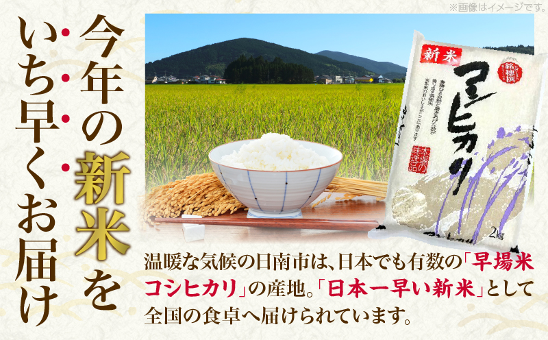 令和7年産 新米 コシヒカリ 計2kg お米 ご飯 ライス 国産 数量限定 人気 食品 精米 白米 こしひかり 有洗米 おにぎり お弁当 炊き込みご飯 雑炊 ギフト プレゼント 贈り物 お取り寄せ 産地直送 宮崎県 日南市 送料無料_A98-25 計2kg