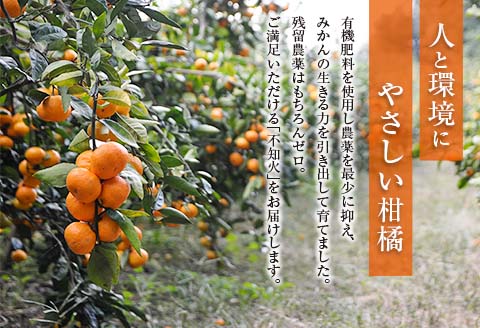 先行予約 不知火 計4kg以上 傷み補償分付き 期間限定 数量限定 フルーツ 果物 くだもの 柑橘 みかん しらぬい 令和8年発送 おやつ デザート ジュース 国産 食品 おすすめ ご褒美 産地直送 プレゼント ギフト 贈り物 ネイバーフッド 宮崎県 日南市 送料無料_AAV11-25