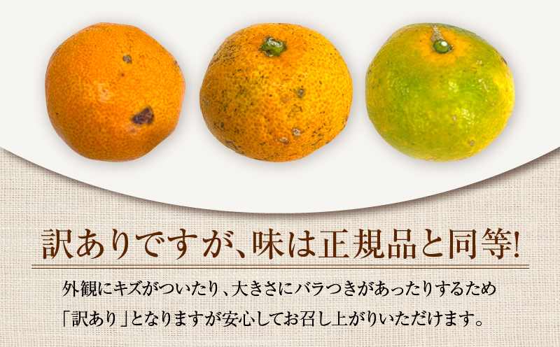 訳あり ネイバーフッド 温州みかん 計8kg以上 傷み補償分入り 期間限定 数量限定 フルーツ 果物 くだもの ミカン 柑橘 オレンジ 人気 国産 食品 デザート おやつ おすすめ 産地直送 ご家庭用 おすそ分け 特産品 宮崎県 日南市 送料無料_BB154-25 計8kg以上