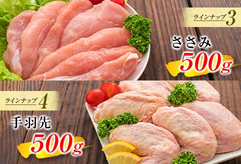 ≪様々な料理に大活躍!≫ 小分け 真空パック 鶏肉 バラエティ セット 合計3kg 鶏もも肉 鶏むね肉 ささみ 手羽先 手羽元 詰め合わせ 国産 肉 大満足 6種 食品 おかず からあげ BBQ 人気 おすすめ お弁当 万能食材 宮崎県 日南市 送料無料_BC123-25