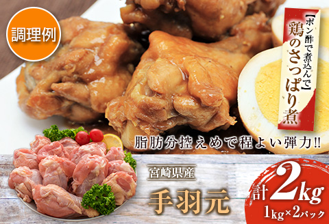 訳あり 数量限定 鶏肉 むね肉 手羽元 セット 合計4kg 国産 人気 チキン ムネ おかず お弁当 おつまみ 食品 万能食材 大容量 から揚げ 煮込み 焼肉 詰め合わせ 人気 おすすめ ギフト おすそ分け お取り寄せ グルメ 真空パック 宮崎県 日南市 送料無料_C143-25