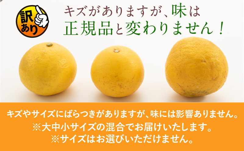 先行予約 訳あり 海藻木酢 日向夏 小夏 計8kg以上 傷み補償分付き 期間限定 数量限定 フルーツ 果物 くだもの 柑橘 みかん 訳アリ 国産 食品 デザート おやつ おすそ分け おすすめ ご家庭用 ご自宅用 B品 傷 マーマレード 産地直送 宮崎県 日南市 送料無料_BA80-24